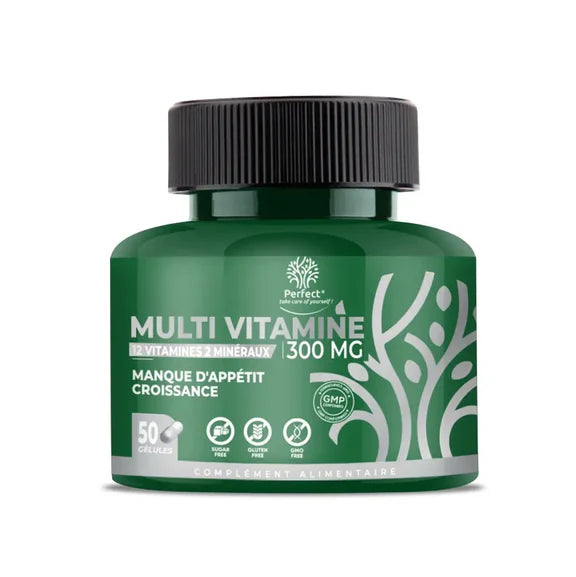 Multivitamine 50 Gélules 300 Mg Perfect Nutrition