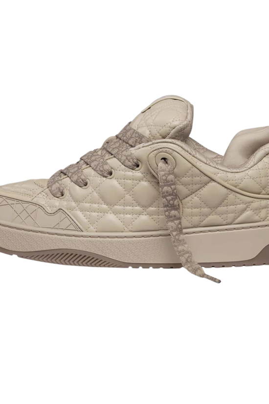 Dior B9S x ERL