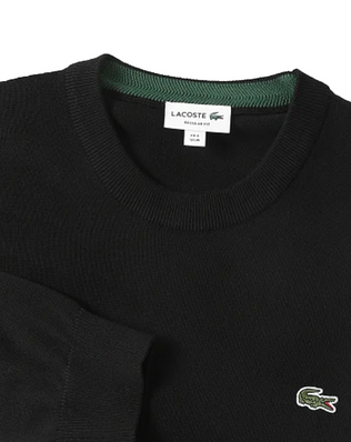 Lacoste Pull Logo Brodé Crocodile Regular Fit