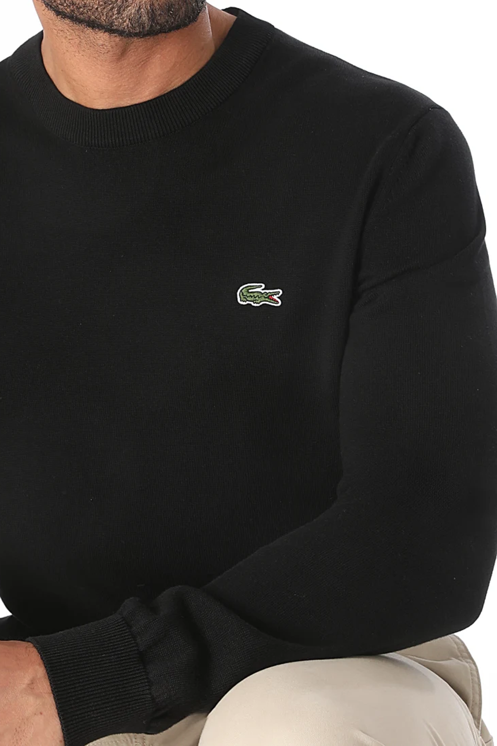Lacoste Pull Logo Brodé Crocodile Regular Fit