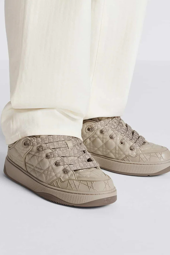 Dior B9S x ERL