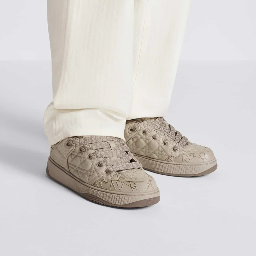 Dior B9S x ERL