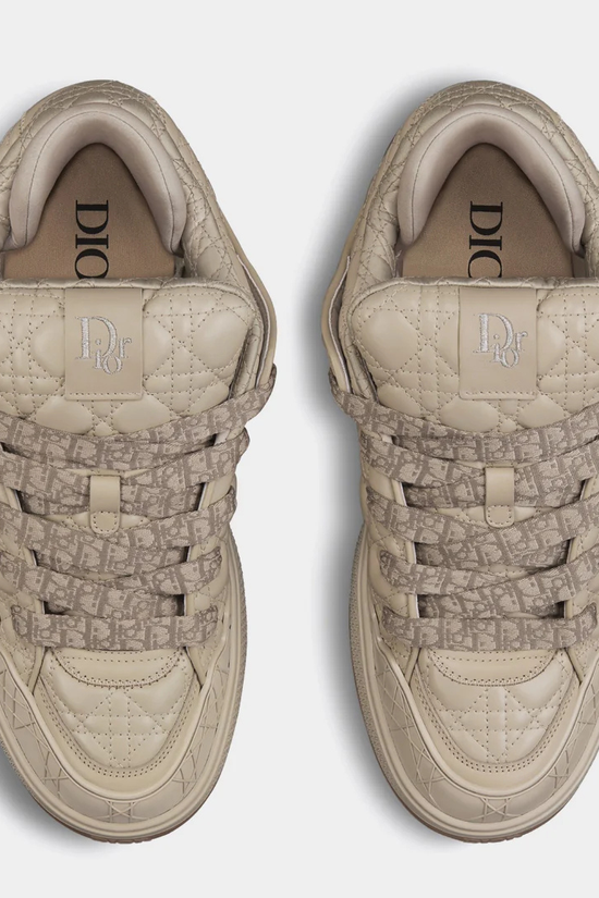 Dior B9S x ERL
