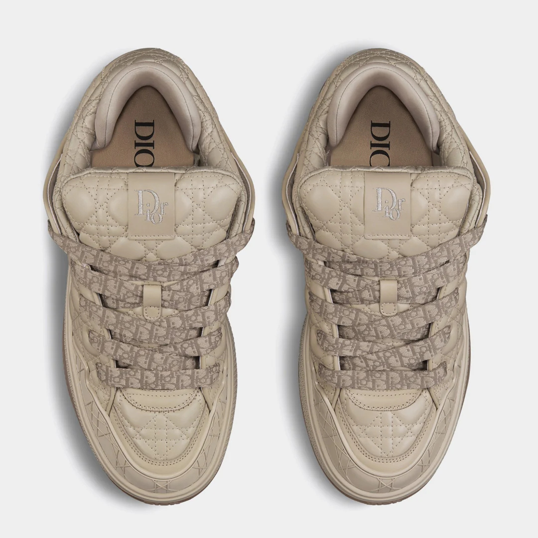 Dior B9S x ERL