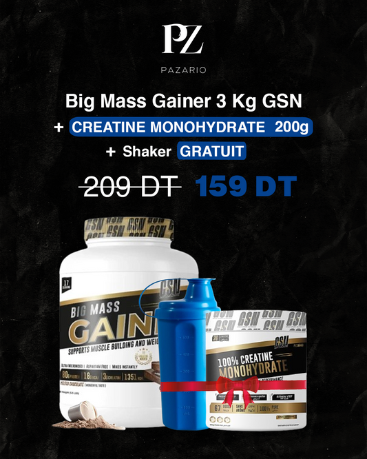 PACK BIG MASS GAINER GSN 3 KG