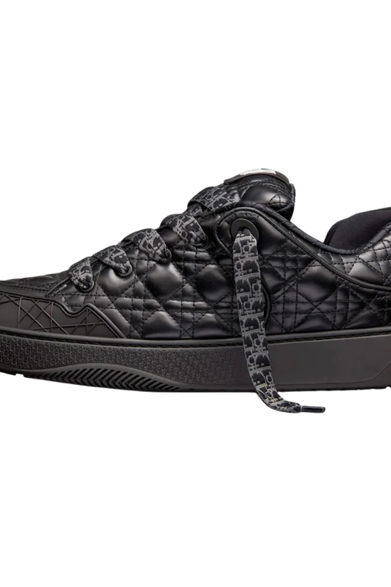 Dior B9S x ERL