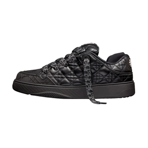 Dior B9S x ERL