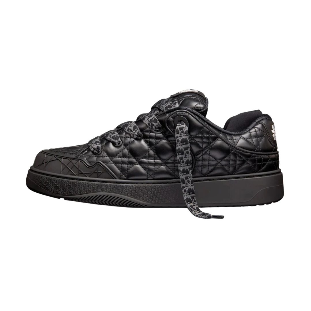 Dior B9S x ERL