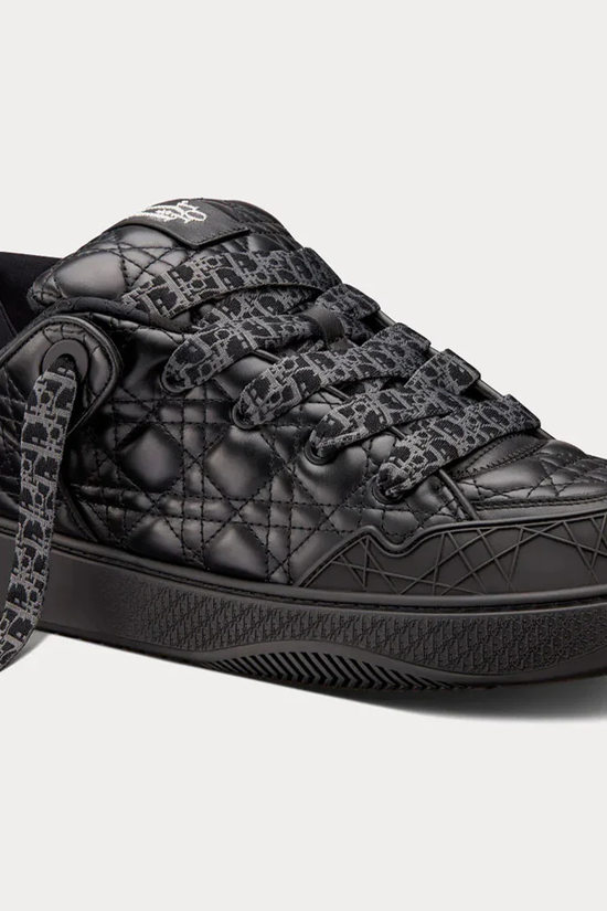 Dior B9S x ERL