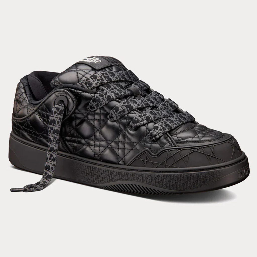 Dior B9S x ERL
