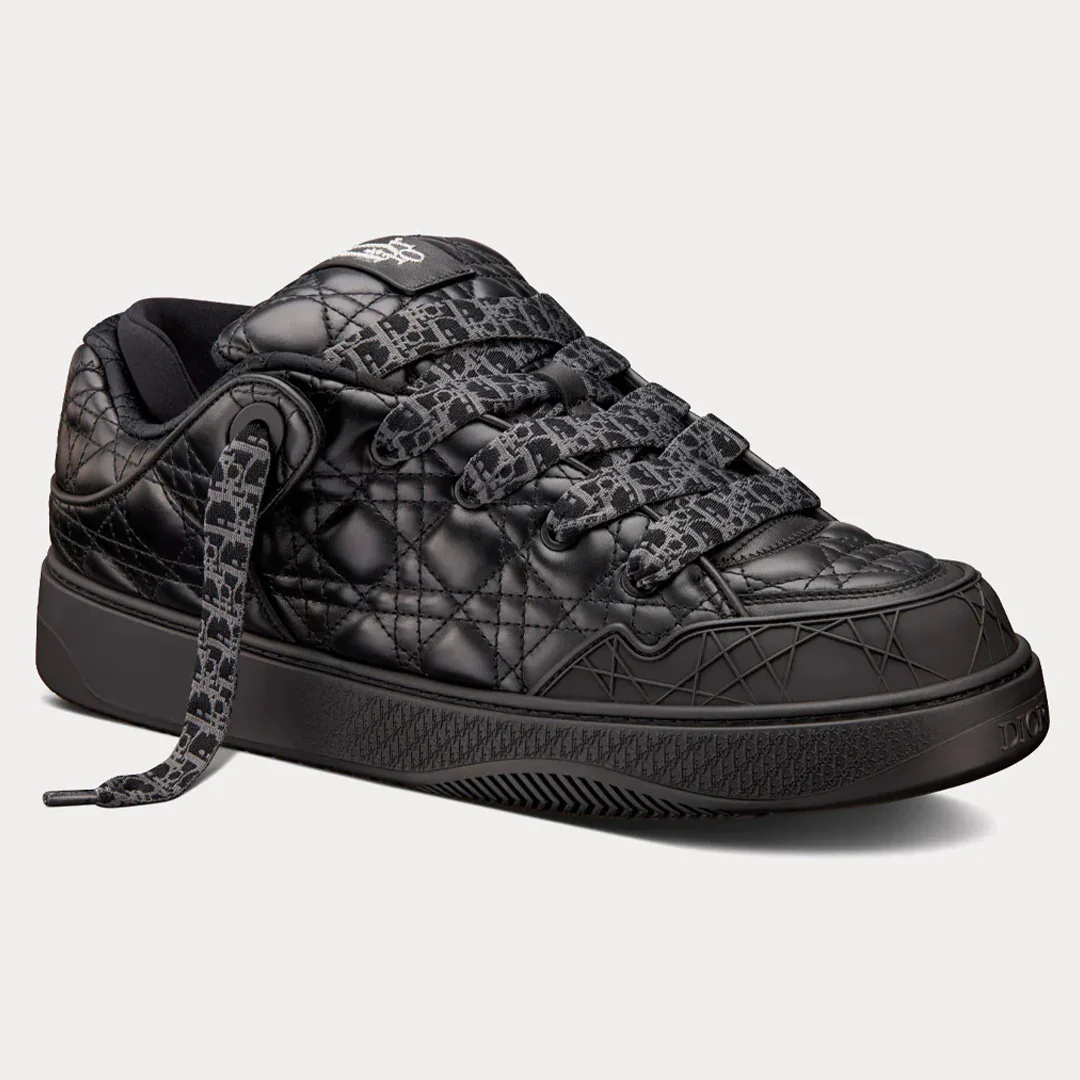 Dior B9S x ERL