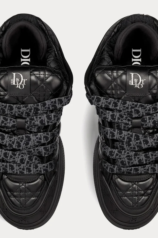 Dior B9S x ERL