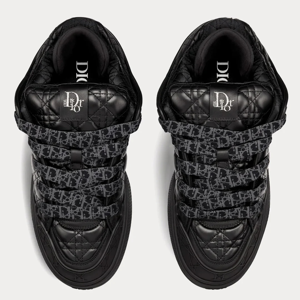 Dior B9S x ERL