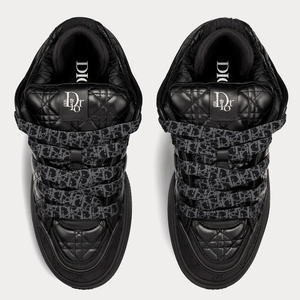 Dior B9S x ERL