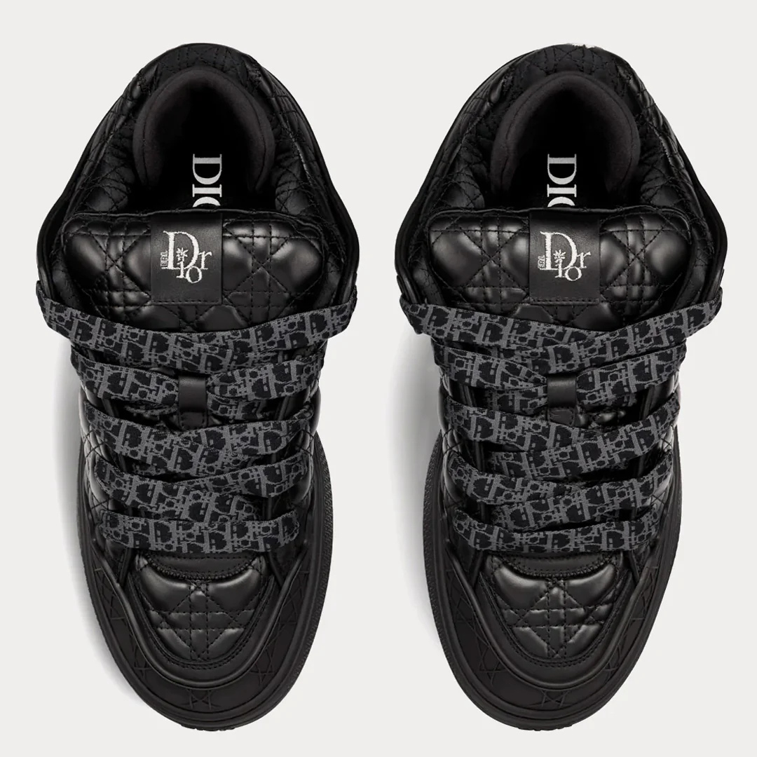 Dior B9S x ERL