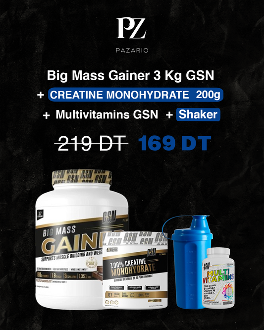 PACK BIG MASS GAINER GSN 3 KG