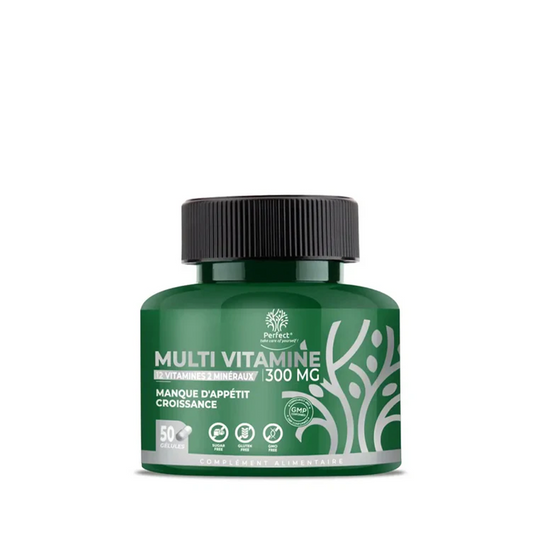 Multivitamine 50 Gélules 300 Mg Perfect Nutrition