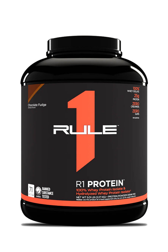 R1 PROTEIN