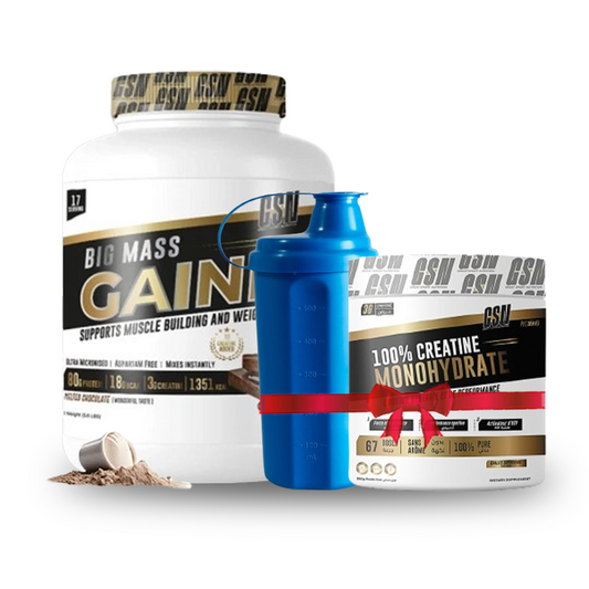 PACK BIG MASS GAINER GSN 3 KG