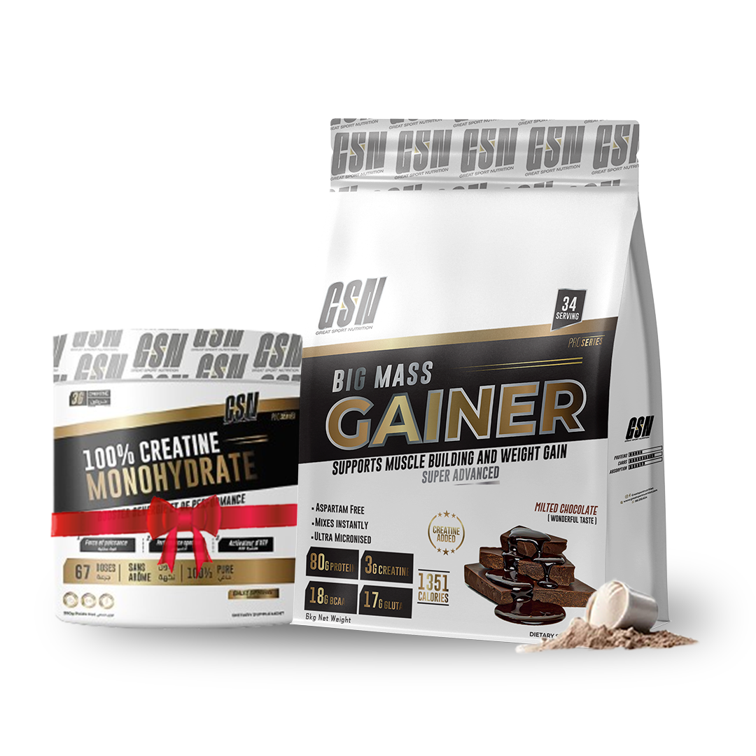 PACK BIG MASS GAINER GSN 6 KG