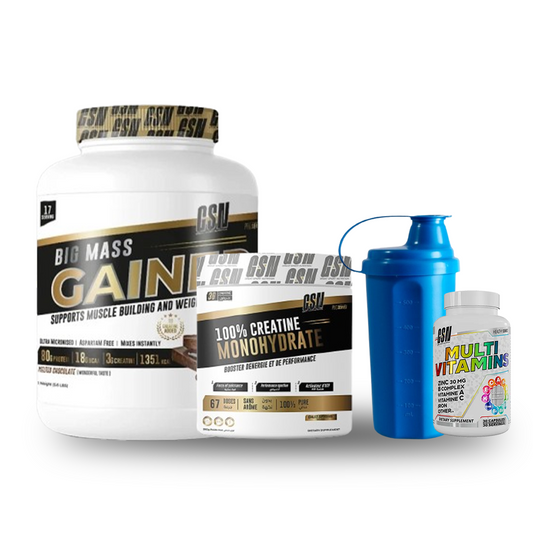 PACK BIG MASS GAINER GSN 3 KG