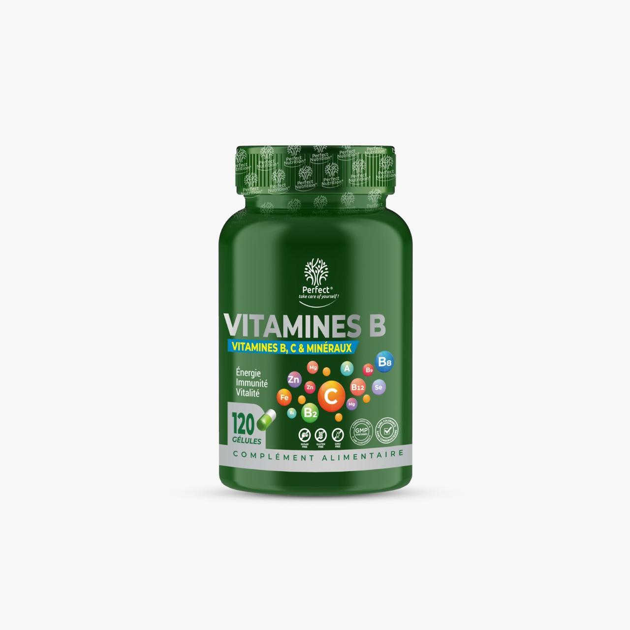 Vitamine B 100 Mg 120 Gélules Perfect Nutrition