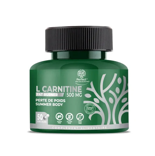 L Carnitine Fat Burner 50 Gélules Perfect Nutrition