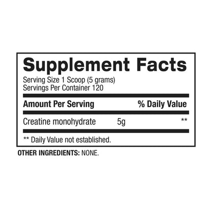 Micronized Creatine 600G – Recovery Solution – BPI