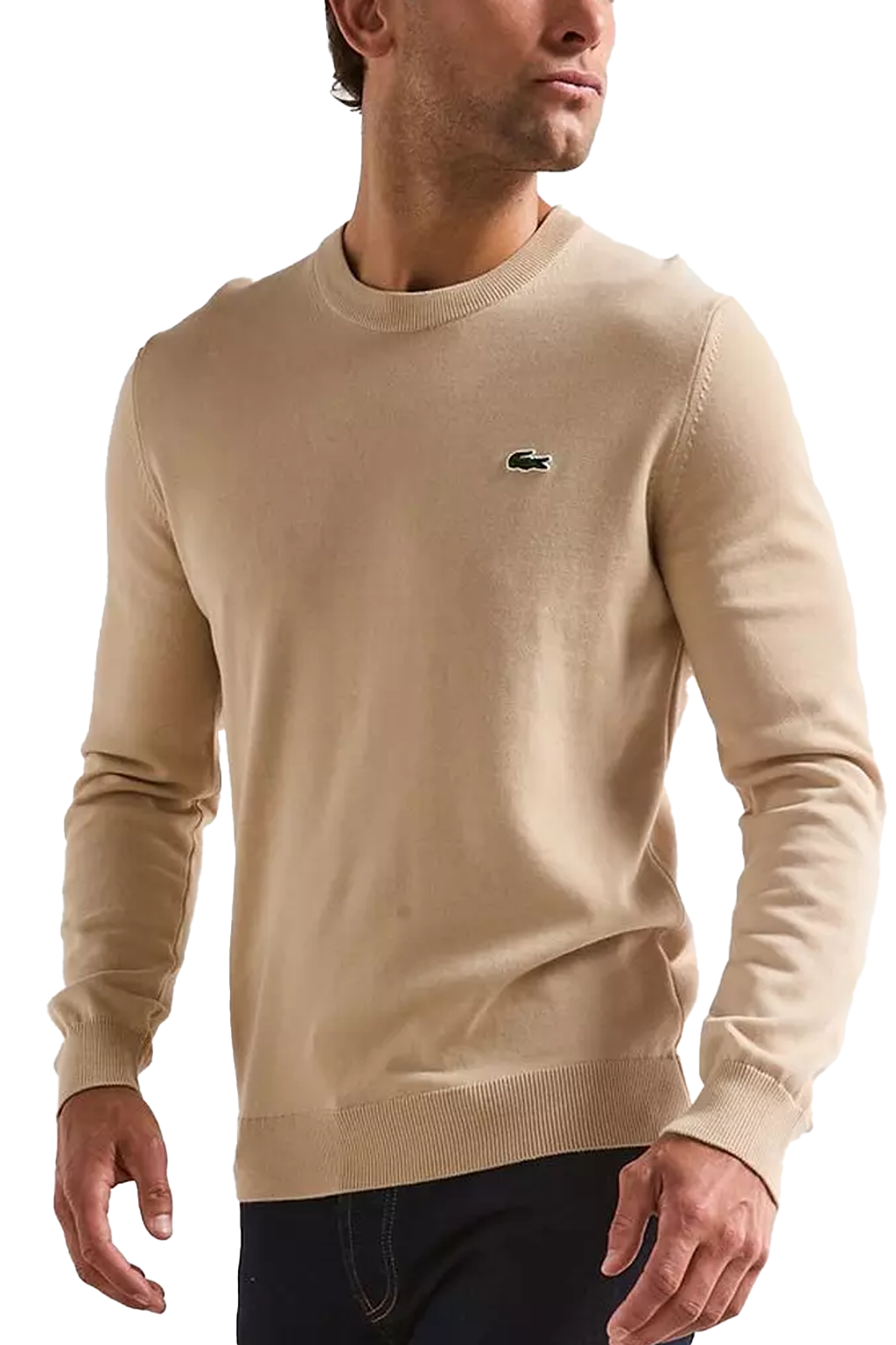 Lacoste Pull Logo Brodé Crocodile Regular Fit