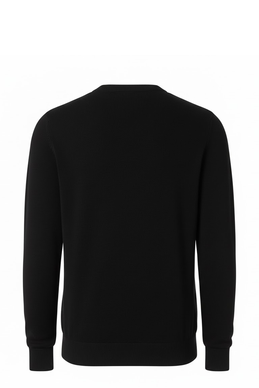 Lacoste Pull Logo Brodé Crocodile Regular Fit