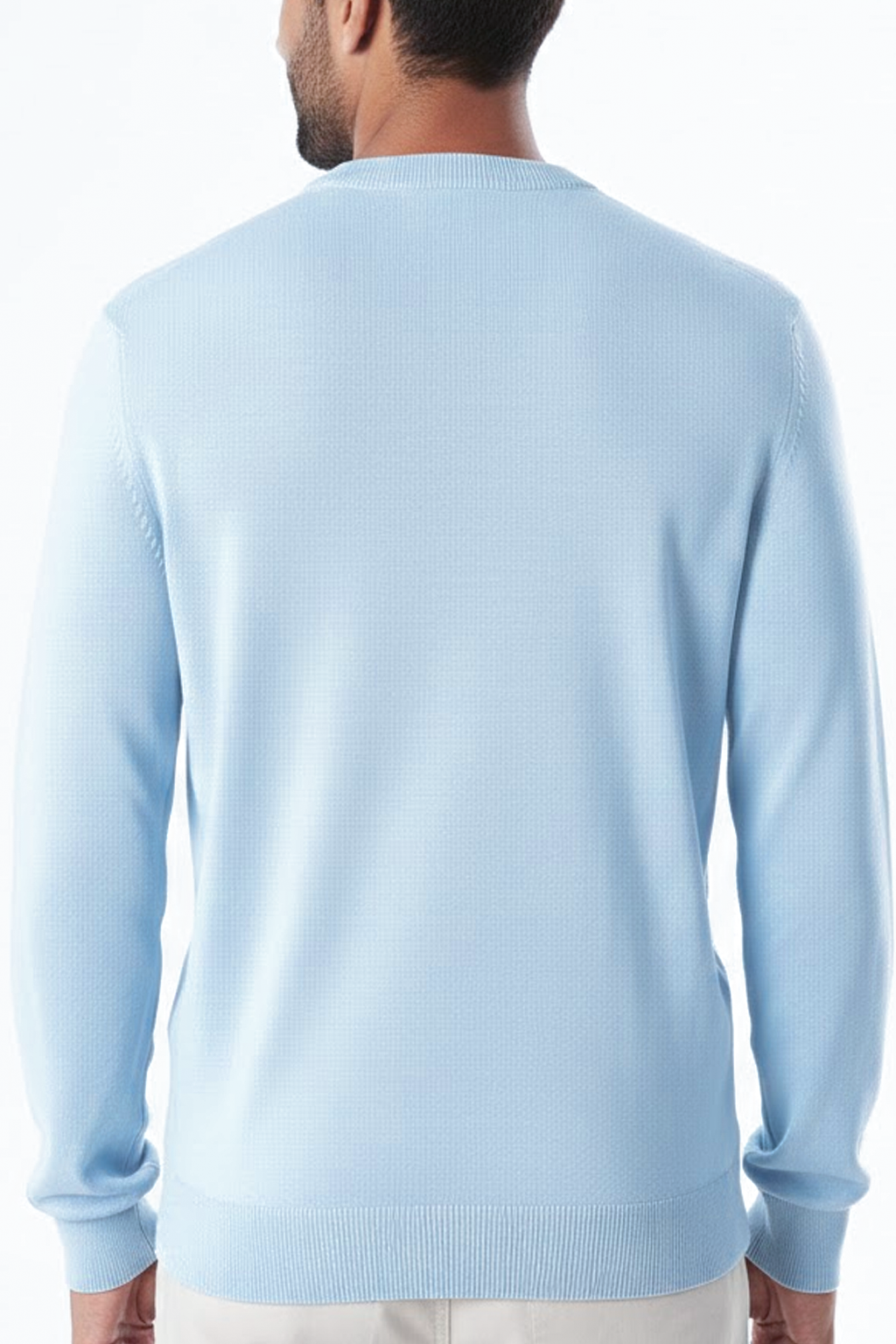 Lacoste Pull Logo Brodé Crocodile Regular Fit