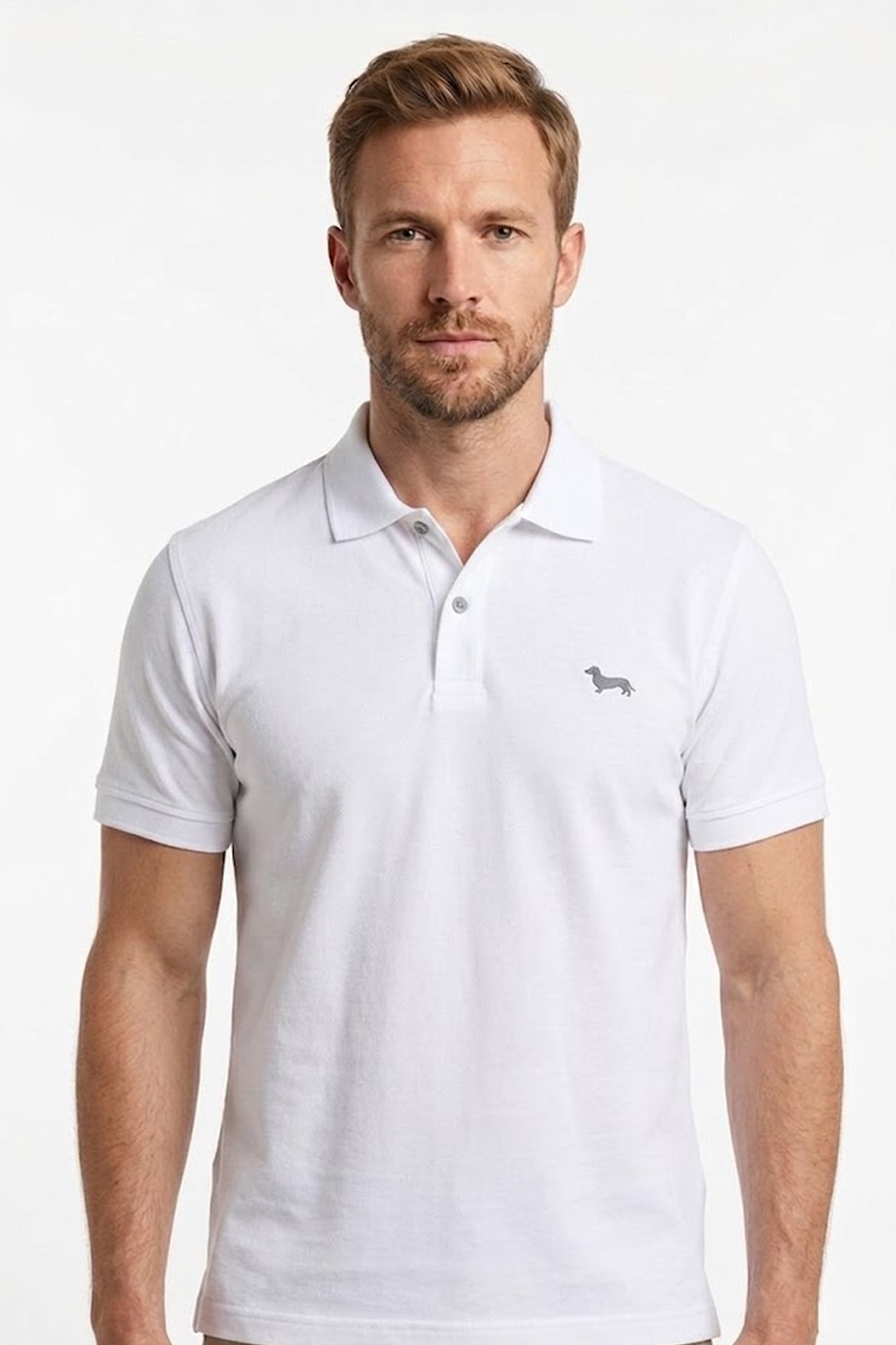 Harmont & Blaine - Polo - Logo Ton sur Ton