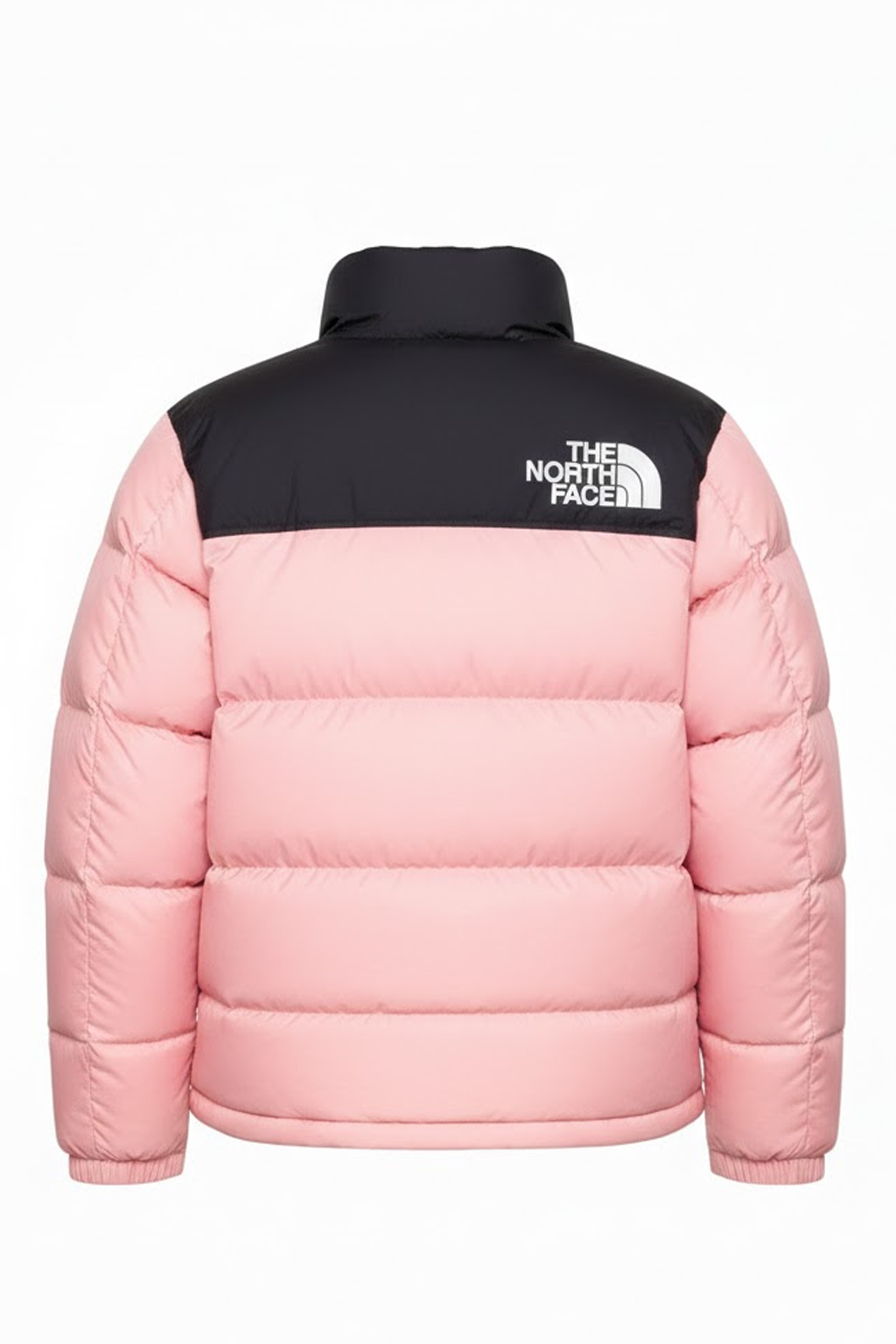 The North Face RETRO NUPTSE - Doudoune