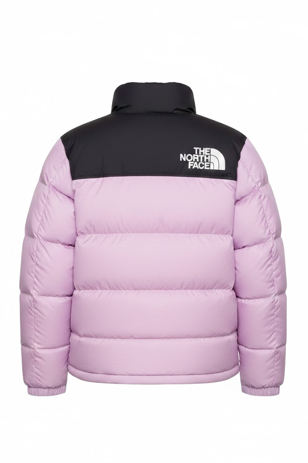 The North Face RETRO NUPTSE - Doudoune