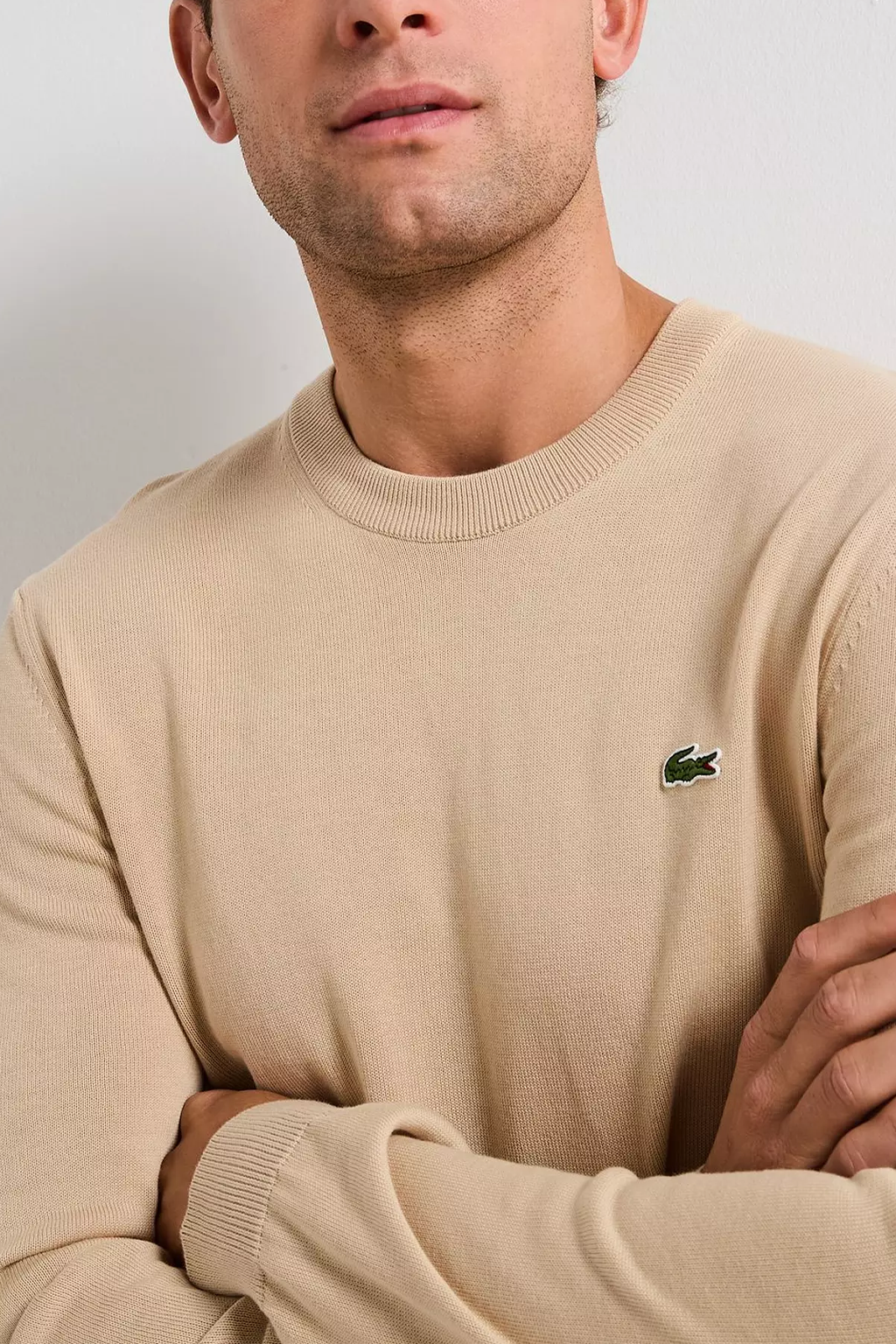 Lacoste Pull Logo Brodé Crocodile Regular Fit